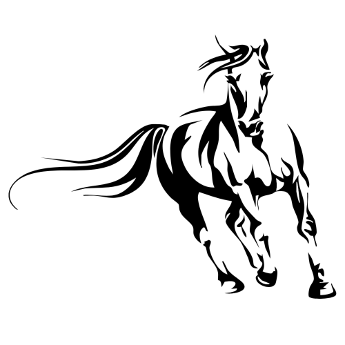 Konie