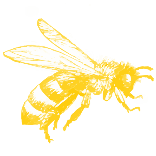Pszczoły